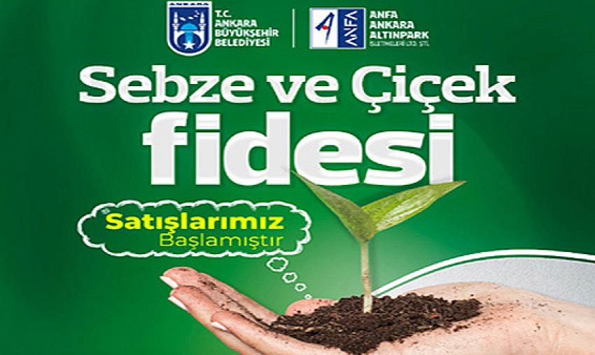 ANFA GENEL MÜDÜRLÜĞÜ SERALARDA YETİŞEN FİDELERİ SATIŞA SUNDU