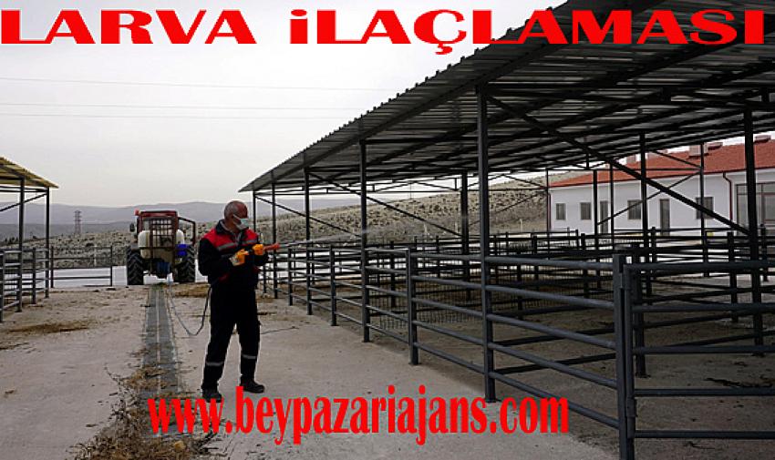 Belediye temizlik işleri ekipleri Larva ilaçlamasında: