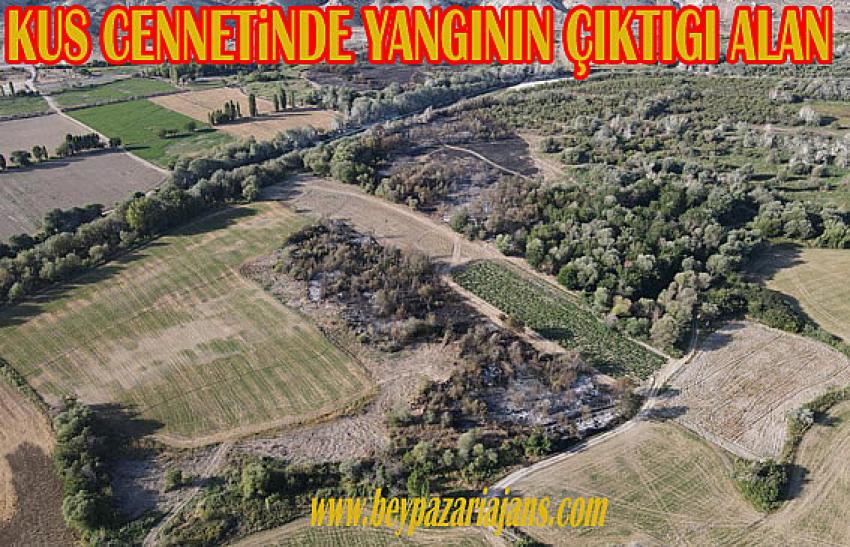 Kuş cennetinde 20-25 hektarlık alan yandı:
