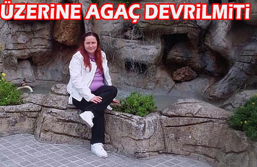 Üzerine ağaç devrilen Yeğenim yaşam mücadelesini kaybetti