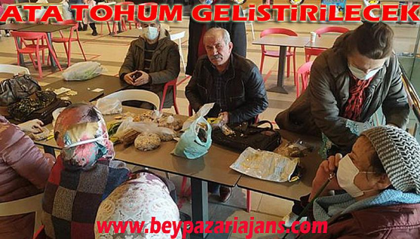 Başkentte Ata Tohum geliştirilmeye çalışılıyor:
