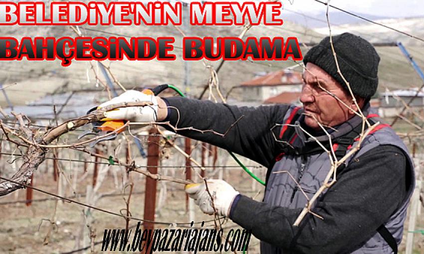 Tuncer Kaplan:“Örnek meyve bahçemizde budama çalışmalarına başladı
