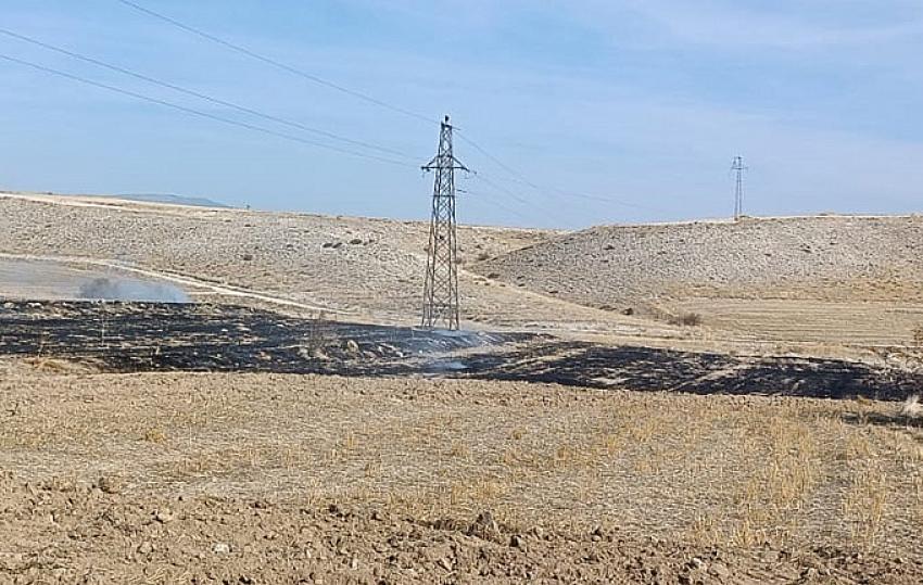 Elektrik direklerinden düşen Kıvılcım yangına sebep oldu.