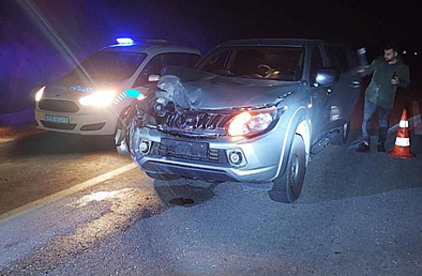 Beypazarı’nda bir araç Geyik’e vurdu ve geyik telef oldu.