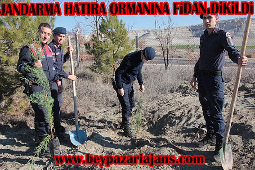 YÜZLERCE FİDAN TOPRAKLA BULUŞTU.
