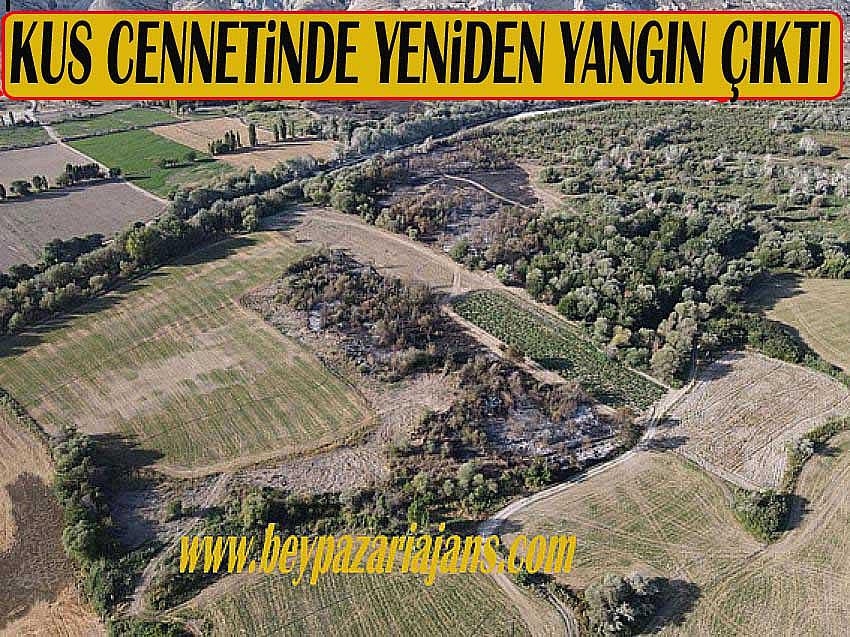 Nallıhan İlçesi Kuş cennetinde yeniden yangın çıktı: