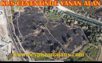 Kuş cennetinde 20-25 hektarlık alan yandı: