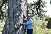 Ankara Milletvekili Nevzat Ceylan: “Nallıhan Sarıçalı Dağı Milli Parkı Tam Bir Anıt Ağaç Müzesi”