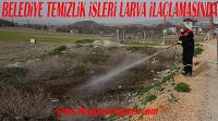 Belediye temizlik işleri ekipleri Larva ilaçlamasında: