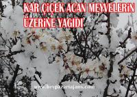 Yaz geldi derken, kar yağışıyla yüksek kesimler beyaza bürüdü