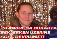 Üzerine ağaç devrilen Yeğenim yaşam mücadelesini kaybetti