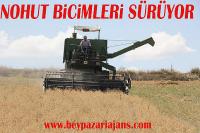 Beypazarı İlçesinde Nohut hasadı sürüyor