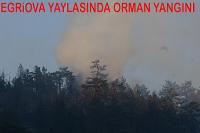 Beypazarı’nda orman yangını