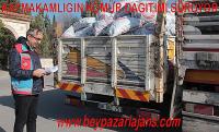 Beypazarı kaymakamlığının Kömür dağıtımları sürüyor: