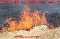 -Beypazarı İlçesinde anız yangını meydana geldi.