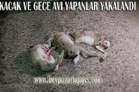 Kaçak ve Gece avlananlar yakayı ele verdi: