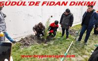  Güdül’de fidanlar toprakla buluştu.