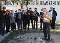 Motorlu Ekip, Yunuslar için Kurban kesildi.