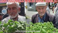 ANFA Genel Müdürlüğü Beypazarı  seralarda üretilen bitkileri ve fideleri Atatürk parkında satışa sundu: