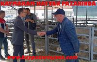 Kaymakam Hayvan pazarında
