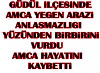 Güdül İlçesinde arazi Anlaşmazlığı yüzünden Amca yeğen birbirini vurdu, Amca öldü: