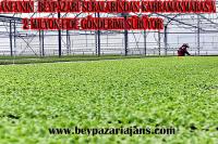 Ankara Büyükşehir Belediyesi ANFA Genel Müdürlüğünden Deprem Bölgesine sebze fidesi