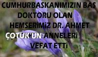 Cumhurbaşkanımızın baş doktorlarından, Sayın Dr. Ahmet Çotuk’ın kıymetli anneleri vefat etti.
