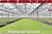 ANFA Genel Müdürlüğü, Beypazarı, Nallıhan ve Çayırhan bölgelerinde çalışmalarını özverili bir şekilde sürdürüyor: