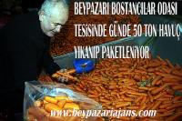 Beypazarı Bostancılar Odası  Havuç yıkama tesisi: