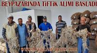 Beypazarı İlçesinde bulunan 291 Sayılı Tiftik ve Yapağı tanzim satış Kooperatifi, Tiftik alımlarını başlattı: