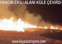 Beypazarı’nda gece 22.00 saatlerinde ekili alanda çıkan yangın buğday tarlasının yanmasına neden odu.