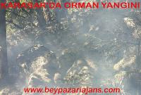 Beypazarı İlçesinde Orman Yangını: