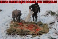 Beypazarı İlçesinde yaban hayatı için doğaya yem ot, saman bırakıldı.