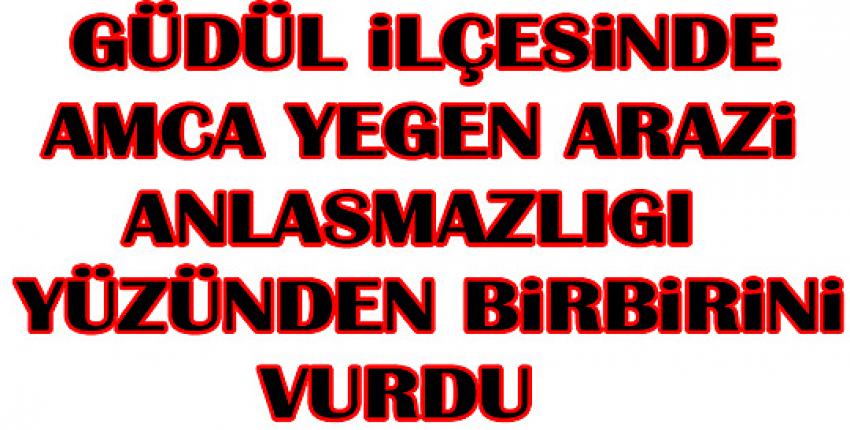 Güdül İlçesinde arazi Anlaşmazlığı yüzünden Amca yeğen birbirini vurdu, Amca öldü: