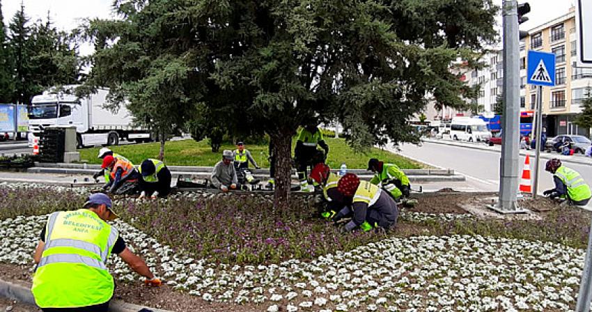 ANFA Genel Müdürlüğü Ankara Genelinde ve İlçelerde Orta refüjlerde ve tüm yeşil alanlardaki çalışmalarını titizlikle sürdürüyor: