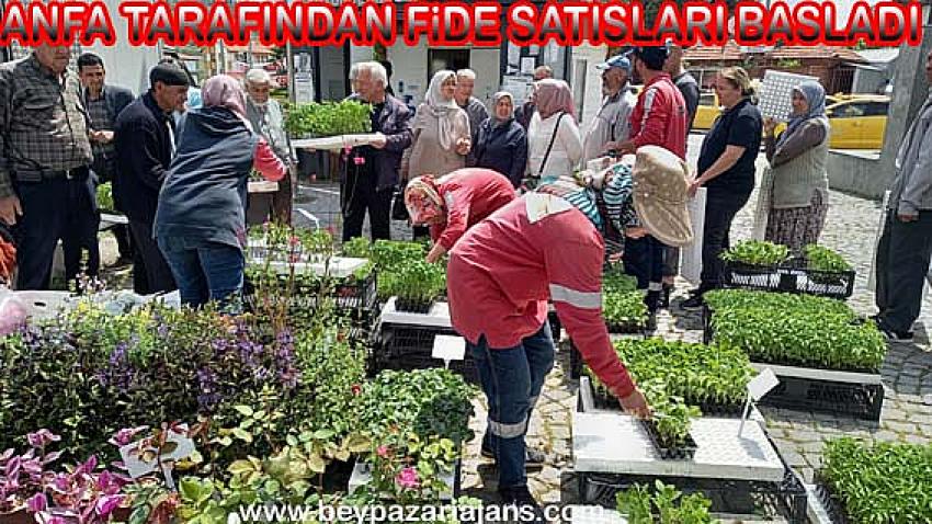 ANFA Genel Müdürlüğü Beypazarı  seralarda üretilen bitkileri ve fideleri Atatürk parkında satışa sundu: