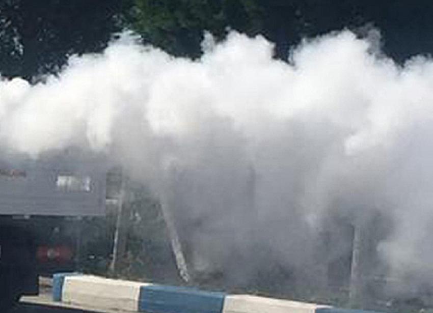 Beypazarı'nda Köylülerde Sinekle mücadele istiyor: