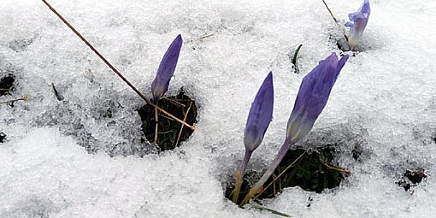 Kar, tarihi ilçe Beypazarı’nın yüksek kesimlerini beyaza bürüdü: