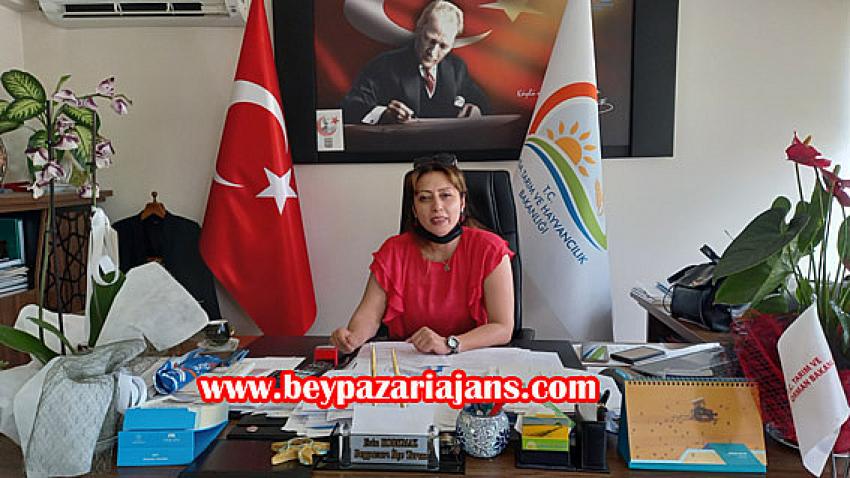 İlçe Tarım Orman Müdürü Esin Korkmaz, Buğday tarlası yanan vatandaşlara geçmiş olsun ziyareti: