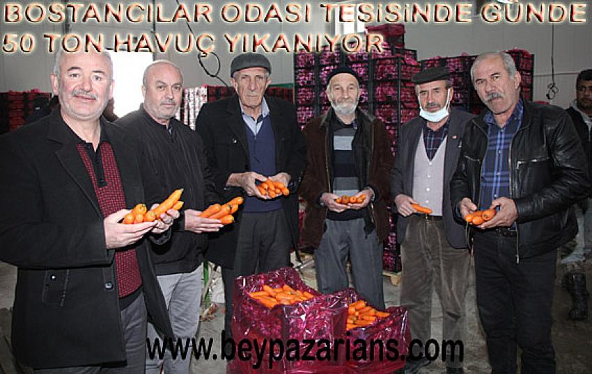 Beypazarı Bostancılar Odası  Havuç yıkama tesisi: