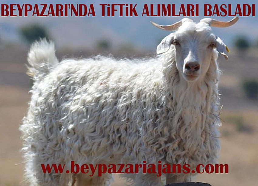 Beypazarı İlçesinde bulunan 291 Sayılı Tiftik ve Yapağı tanzim satış Kooperatifi, Tiftik alımlarını başlattı: