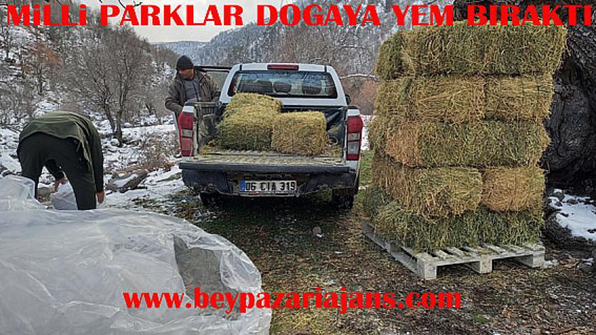 Beypazarı İlçesinde yaban hayatı için doğaya yem ot, saman bırakıldı.