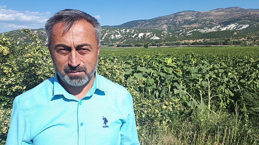 Havuç fiyatları biraz geriledi.